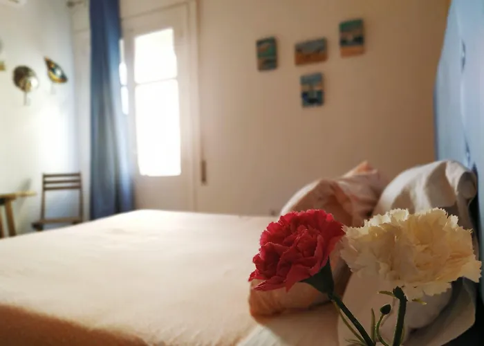 Hostal Casa Nautilus Cádiz